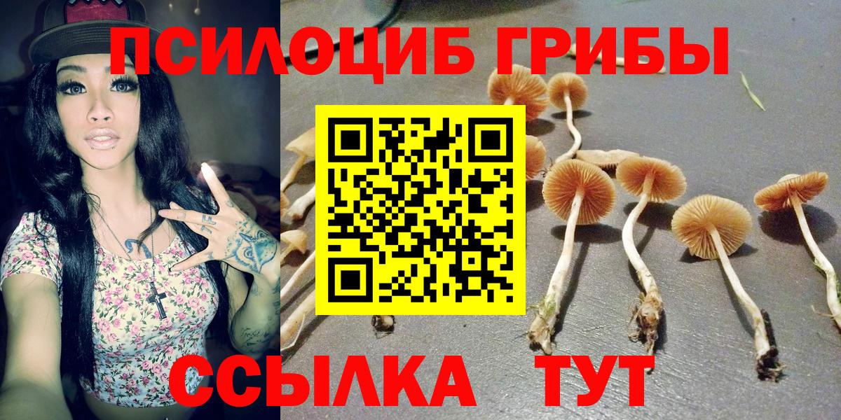 Пенза  что такое наркотик  Вход с VPN  Галлюциногенные грибы Magic Shrooms 