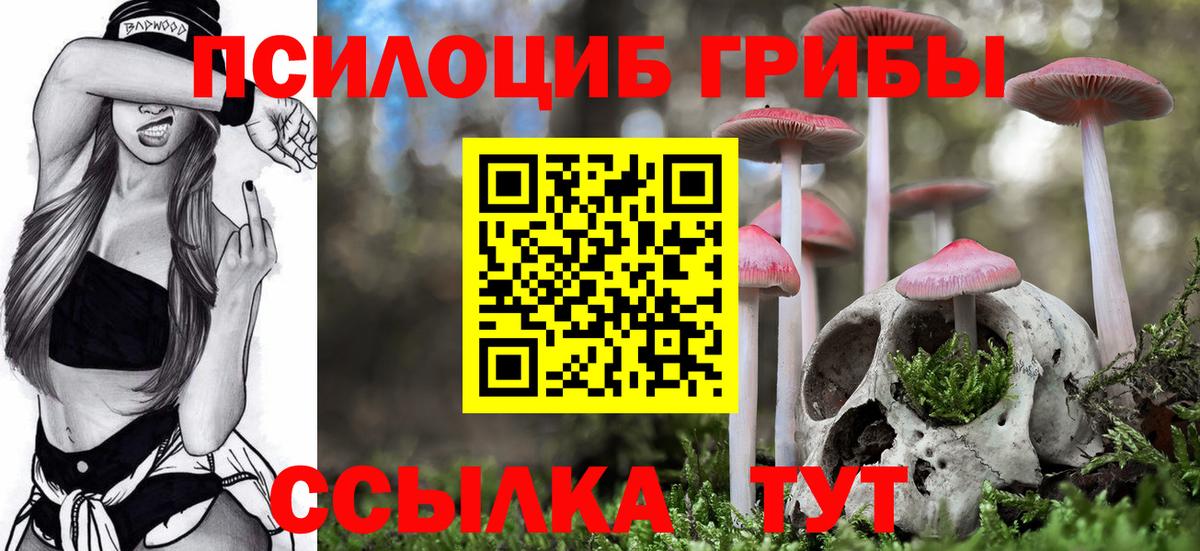 Галлюциногенные грибы Magic Shrooms Пенза